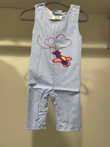 Customer photo review of Airplane Heart Blue Gingham Longall