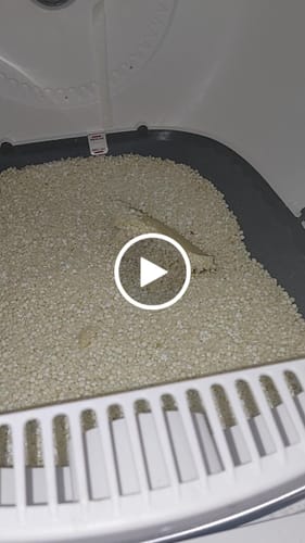 Customer video review of Michu Wonder Litter - Plant-Based & Automatic-Box Friendly 2.5kg/6L