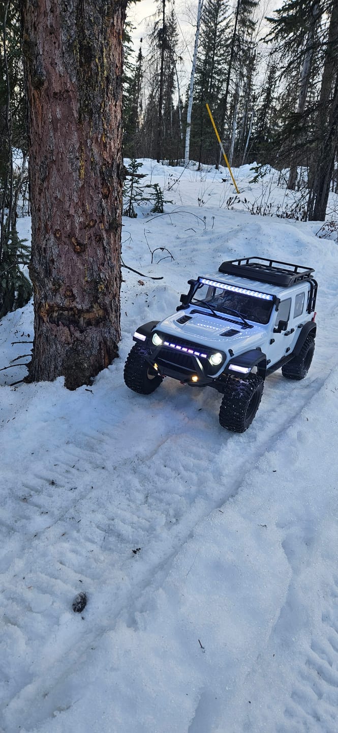 Customer photo review of 1/7 Scale 4WD Brushless RC Crawler MK-07 White