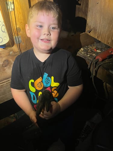 Customer photo review of ($25) QUICK ENTRY