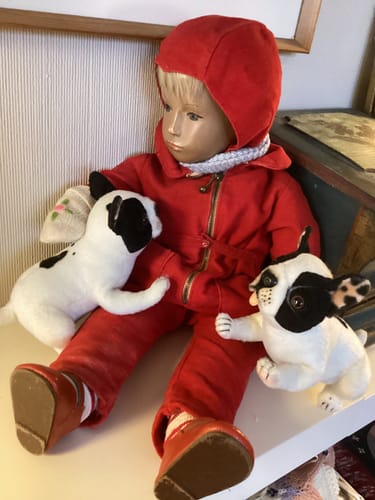 Customer photo review of French Bulldog Tea Cup 15cm | Hansa Creation