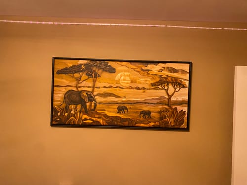 Customer photo review of African Savanna With Elephants Framed Canvas Wall Art