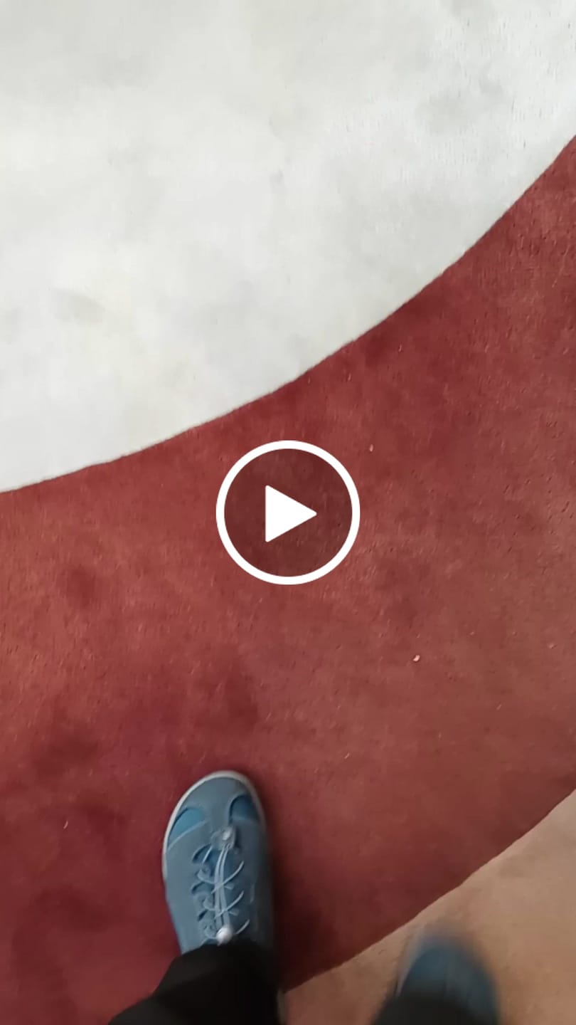 Customer video review of Two Step
