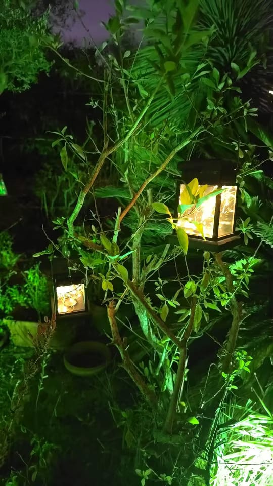 Customer photo review of Classic Outdoor Solar Lantern
