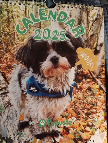 Customer photo review of PUPVOTE: 2025 Cutest Pet Calendar (Official Edition)