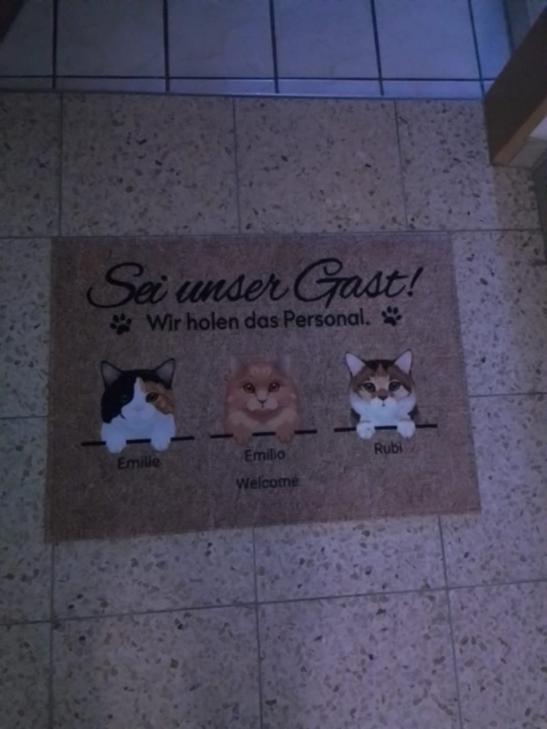 Customer photo review of Katzen holen ihr Personal - Individuelle Fußmatte