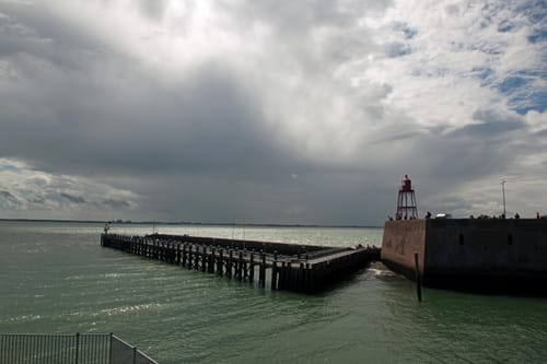 Customer photo review of Kunst Olijfboom 120cm