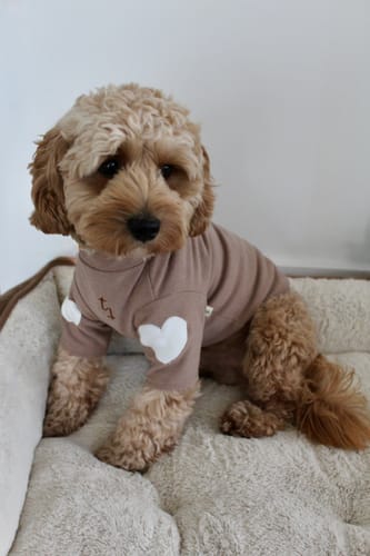 Customer photo review of The 'Forever Together' Heart Top