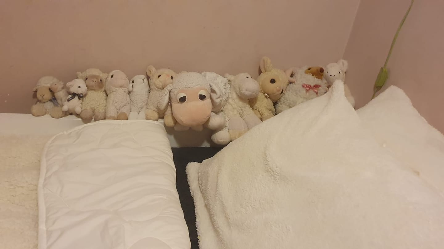 Customer photo review of Bed in a bag 2-in-1 Teddy Cappuccino White