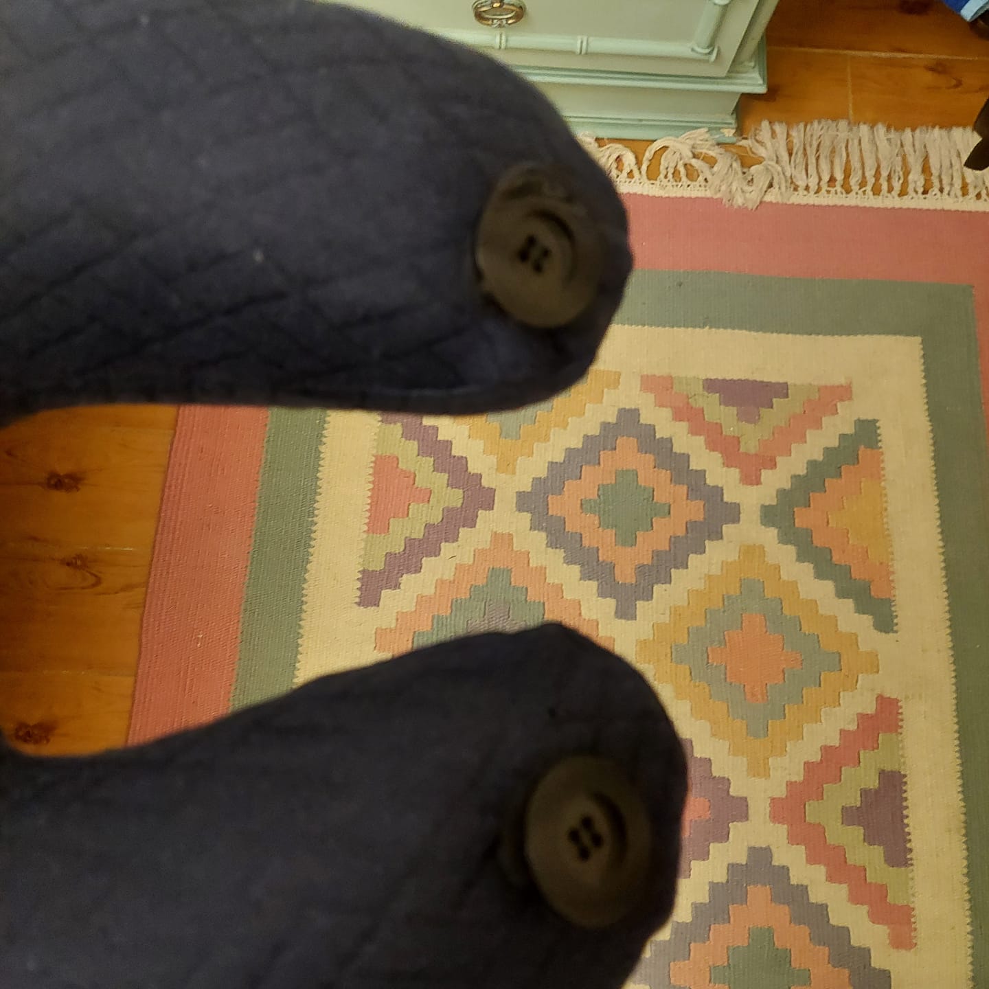 Customer photo review of Ripa- Travel Neck Pillow