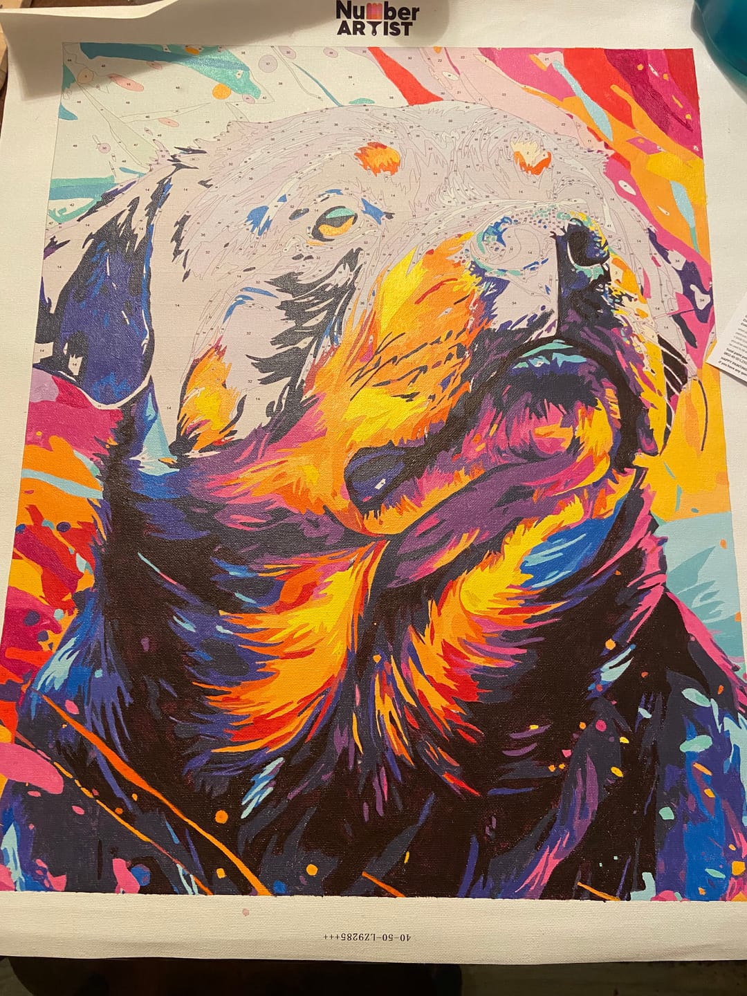 Customer photo review of Color Explosion Rottie