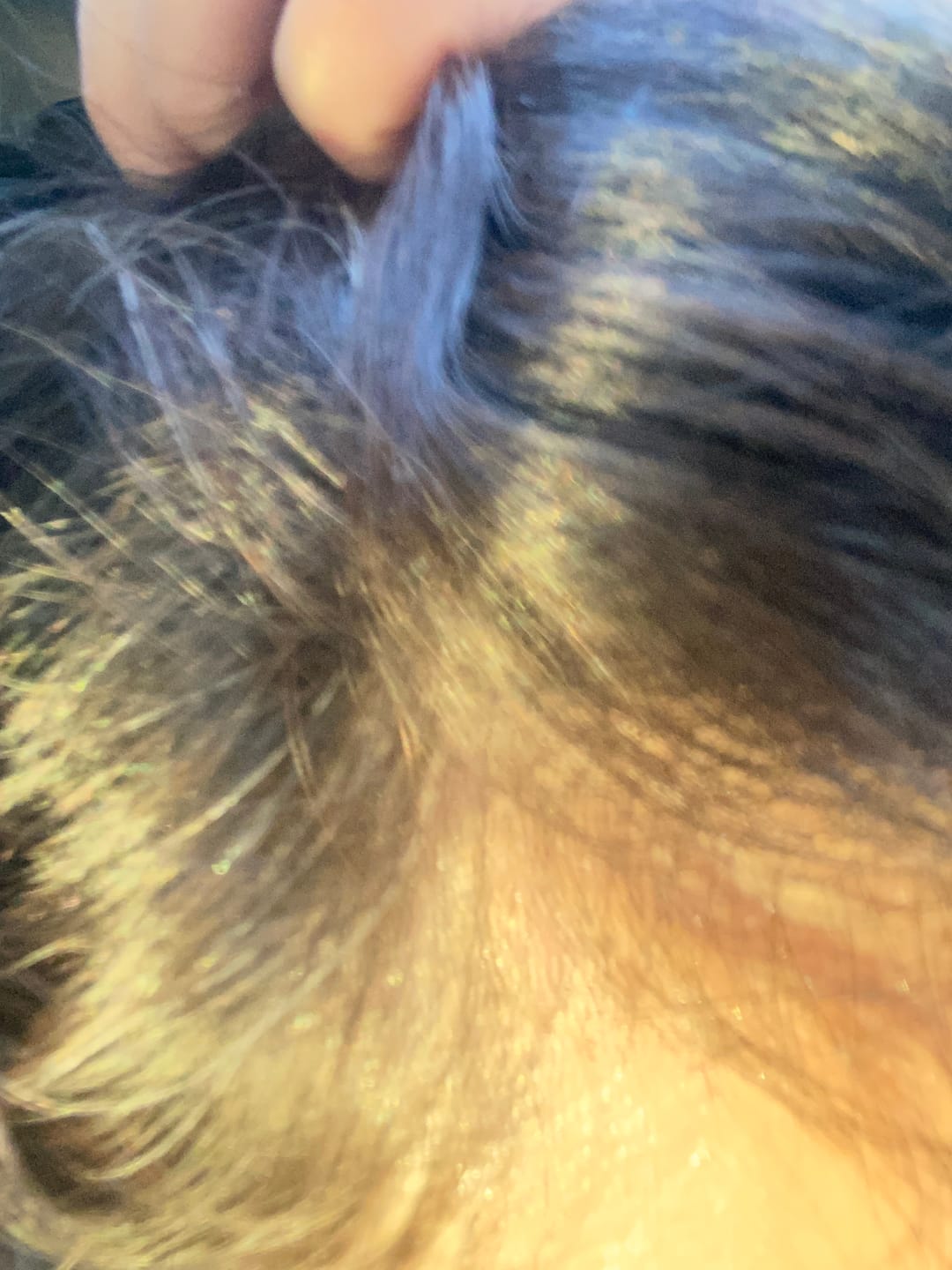Customer photo review of Anticaída para 1 Mes