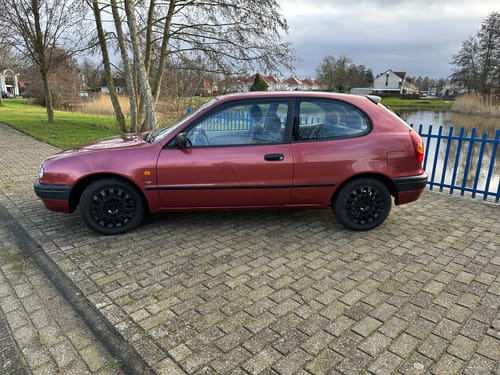 Customer photo review of Limlex® HydroShield-X Coating Spray