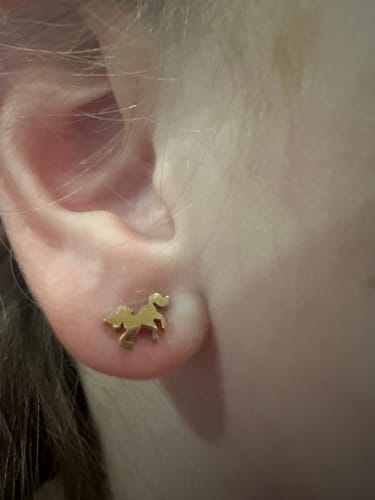 Customer photo review of Classic Unicorns