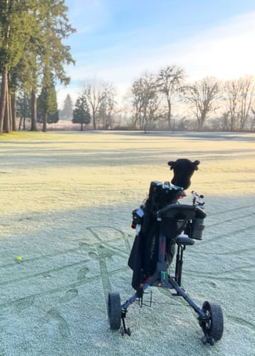 Customer photo review of Cybercart