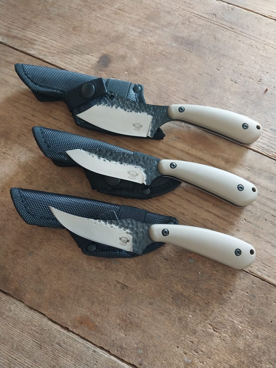 Customer photo review of Scorpion
