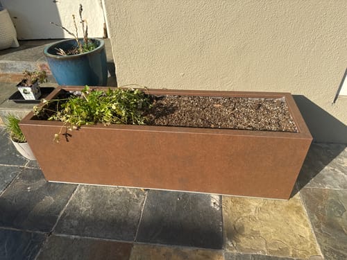 Customer photo review of 12" Tall Modern Patio Planter