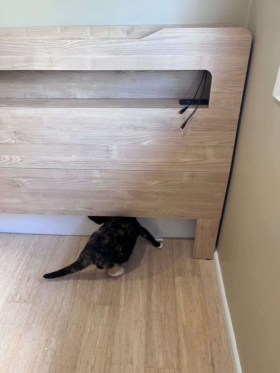 Customer photo review of Doria Storage Bed frame, Queen, Oak