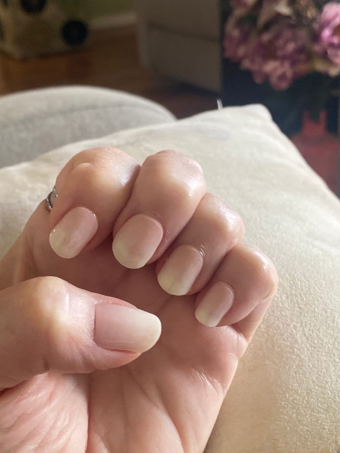 Customer photo review of Nude Pink Ombre DIY Semicured Gel Nail Sticker Kit