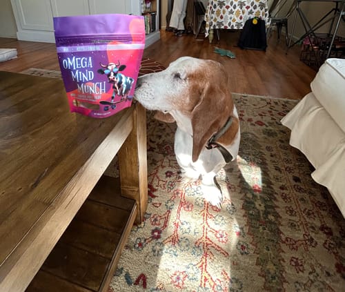 A dog sniffing a bag of 'Omega Mind Munch' dog treats on a wooden table.