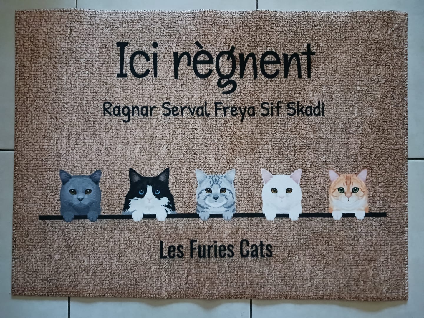 Customer photo review of Tous mes amis à poils - Paillasson personnalisé