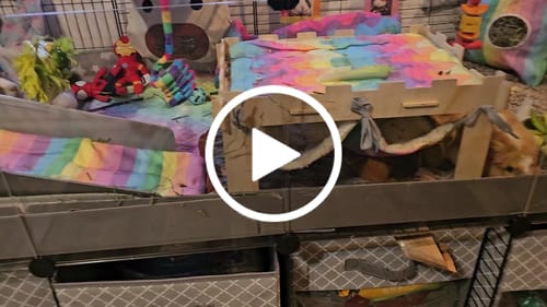 Customer video review of Clear Acrylic C&C Panels