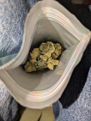 Customer photo review of Gorilla Glue - 4 Grams - Indica