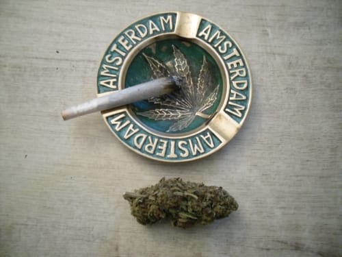 Customer photo review of 🍋 Super Sour Lifter CBD 21%