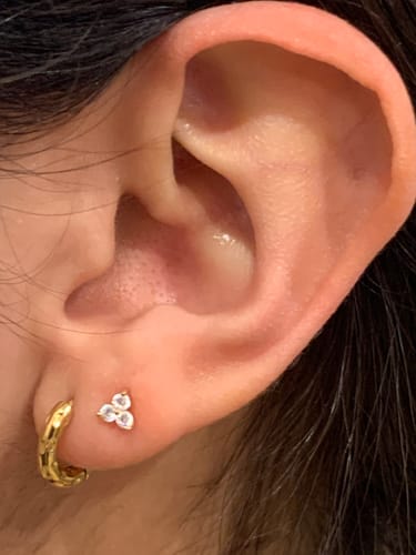 Customer photo review of Hammered hoops