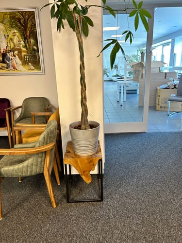 Customer photo review of KOBE Design Teakholz Beistelltisch