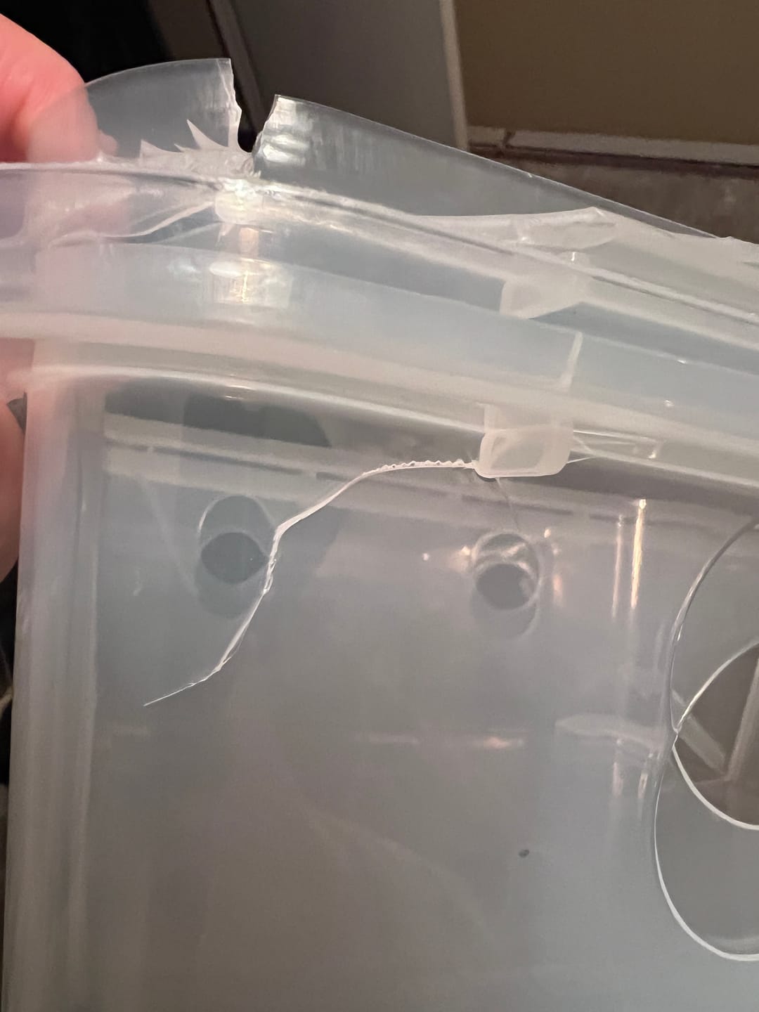 Customer photo review of 'Mark 1' Medium Mushroom Monotub Package
