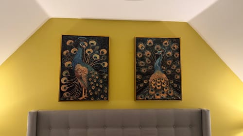 Customer photo review of Luxe Peacock Set of 2 Prints
