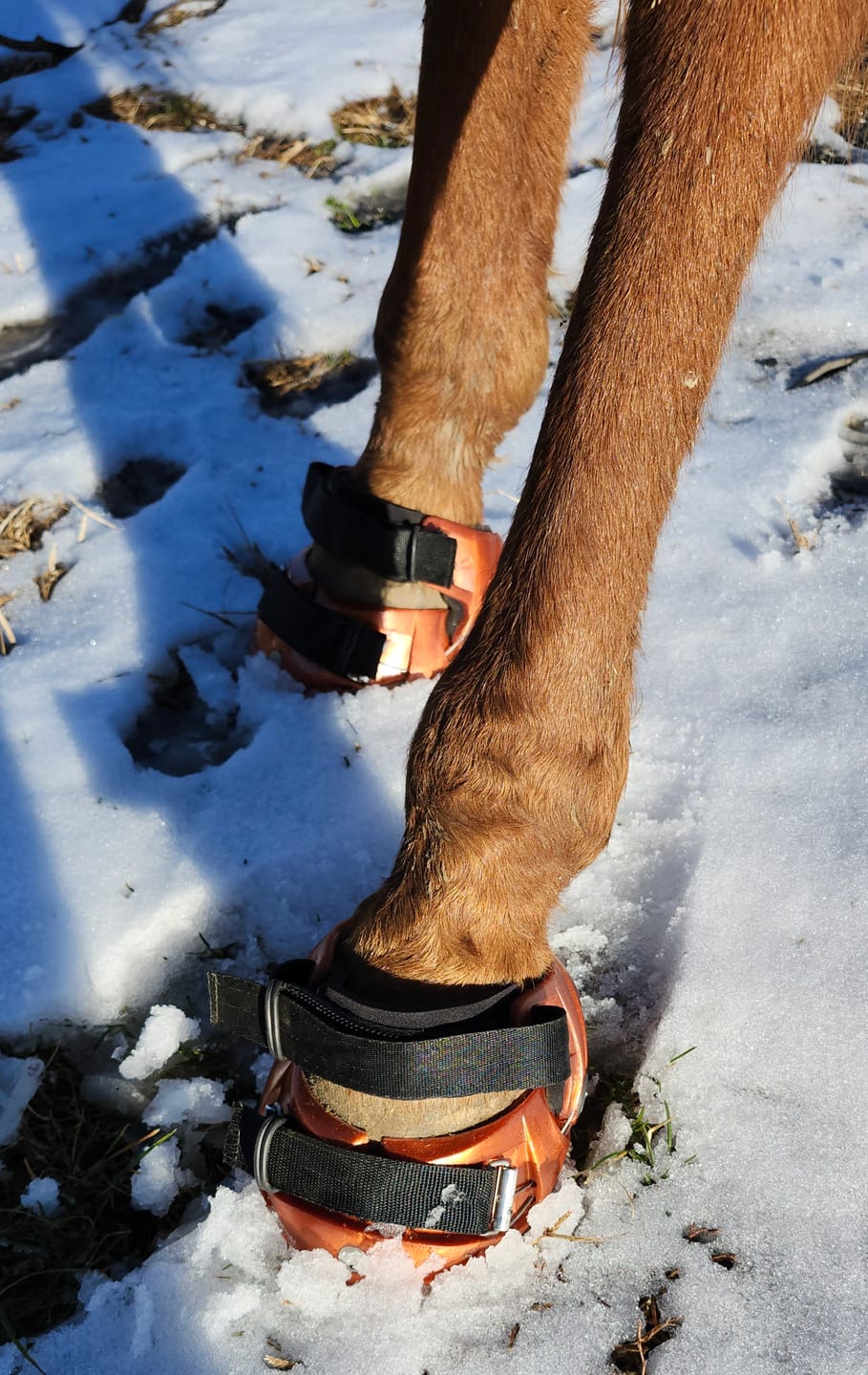 Customer photo review of Renegade® Viper™ Arizona Copper