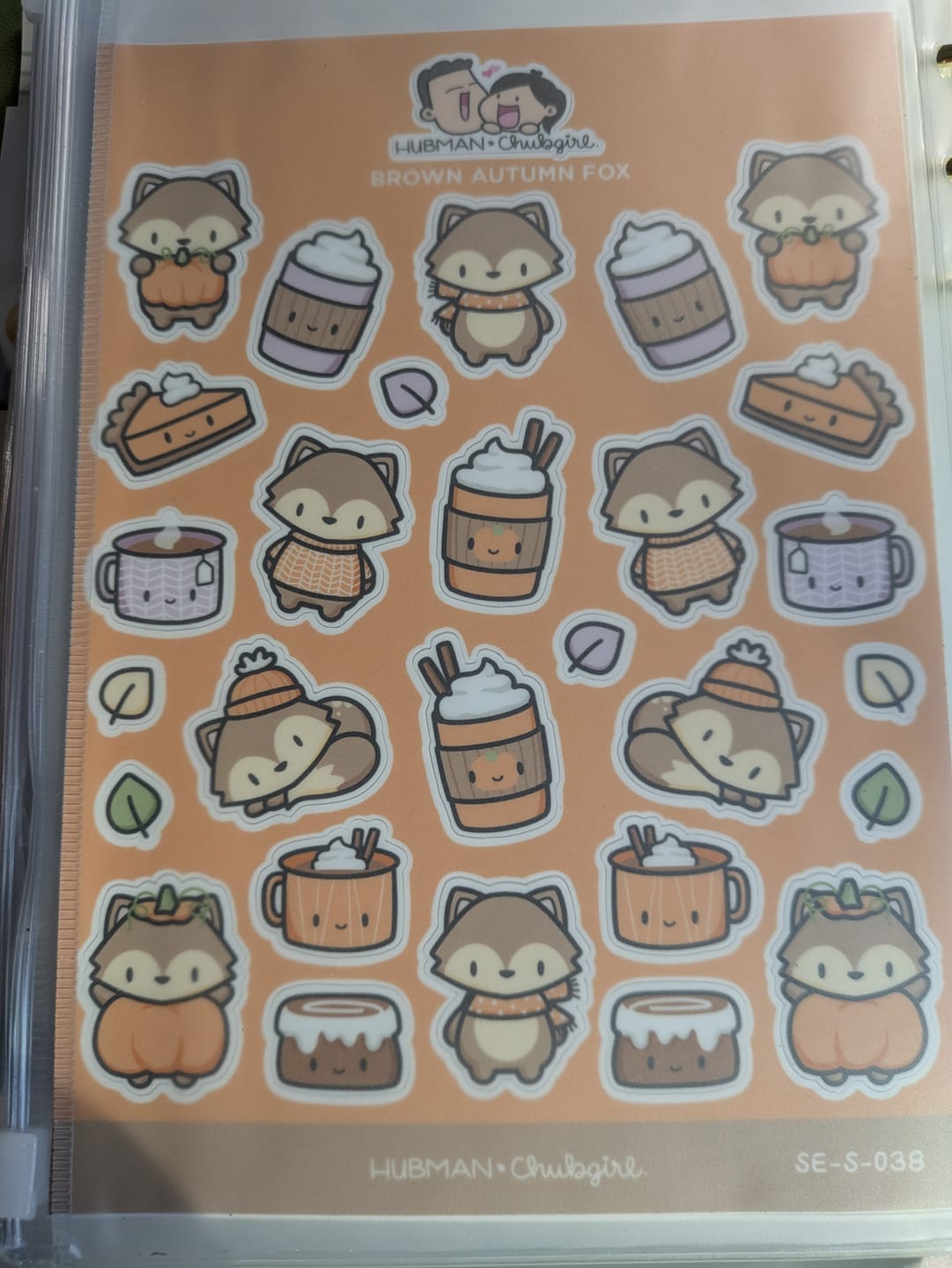 Customer photo review of Brown Fox Sticker Sheet