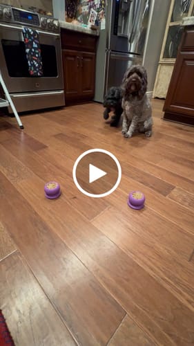 Customer video review of Freezball - Durable Fillable Dog Chew Bone