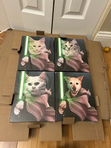 Customer photo review of Master Paw