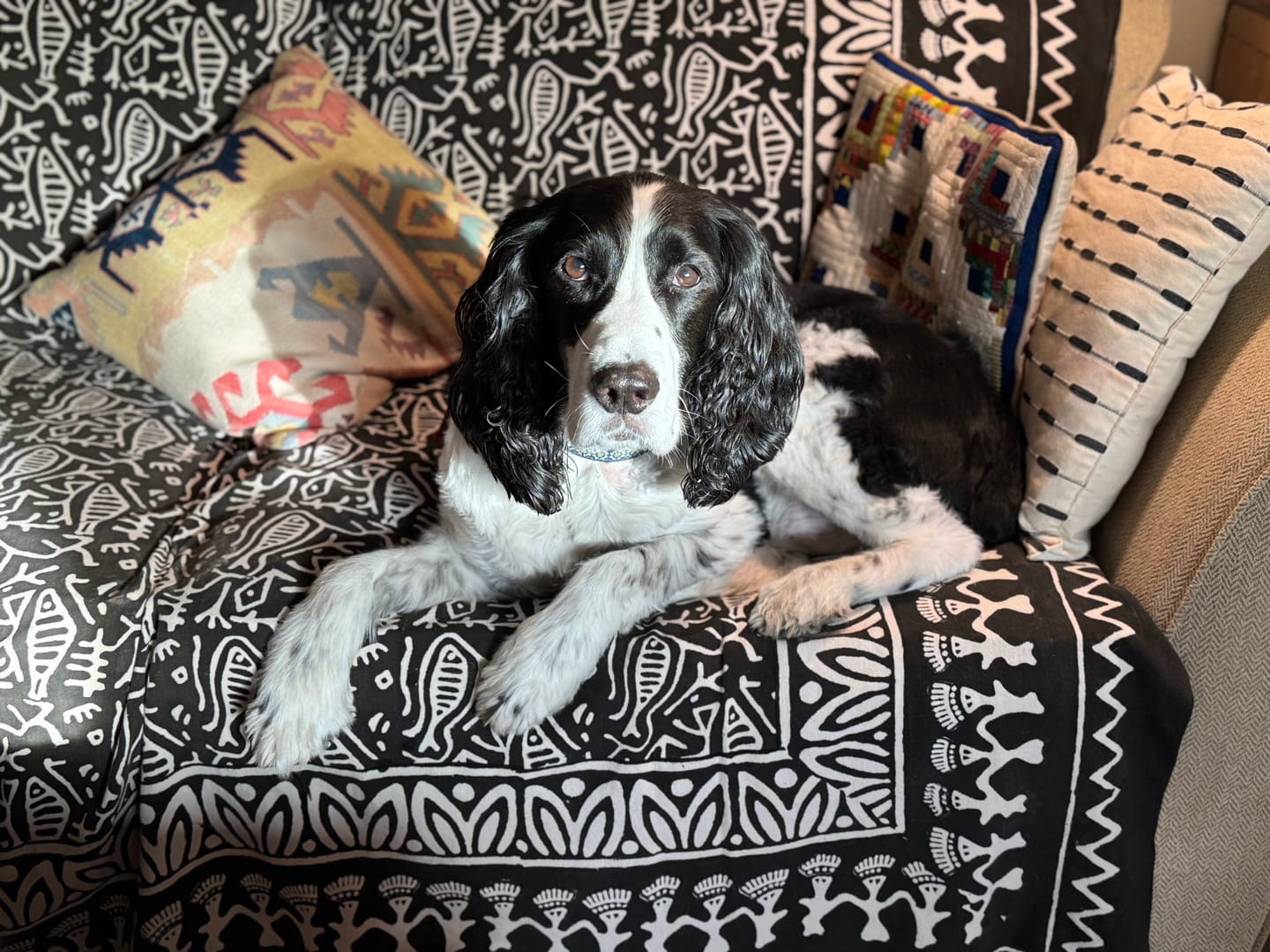 Customer photo review of Neutral Authentic Kilim Cushion Cover 16" x 16"