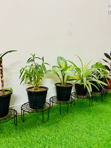 Customer photo review of United Crafts Web Pots Stand- Unique & High Quality Stands for Home and Garden