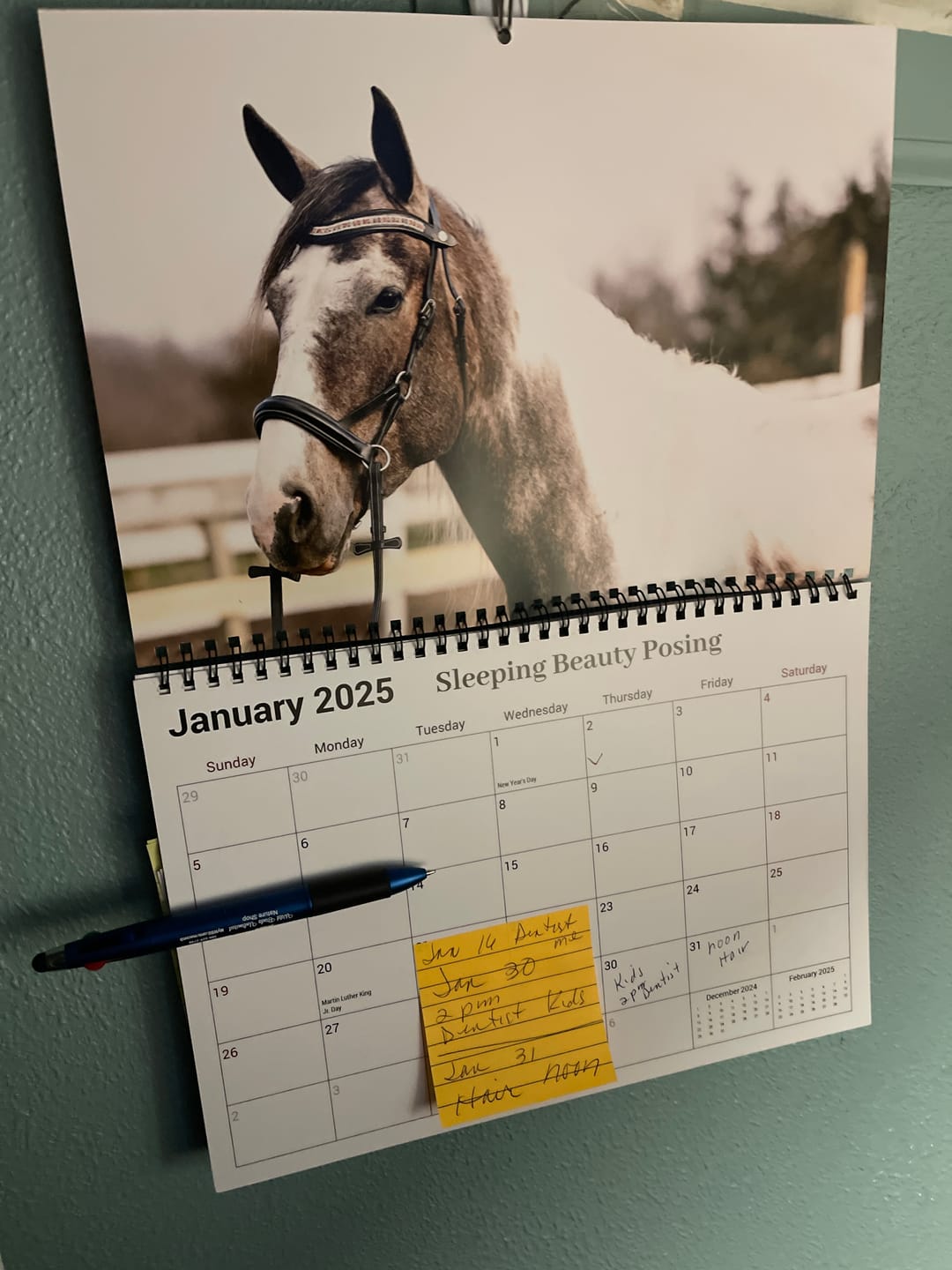 Customer photo review of Free Spirit Equestrian 2025 Calendar