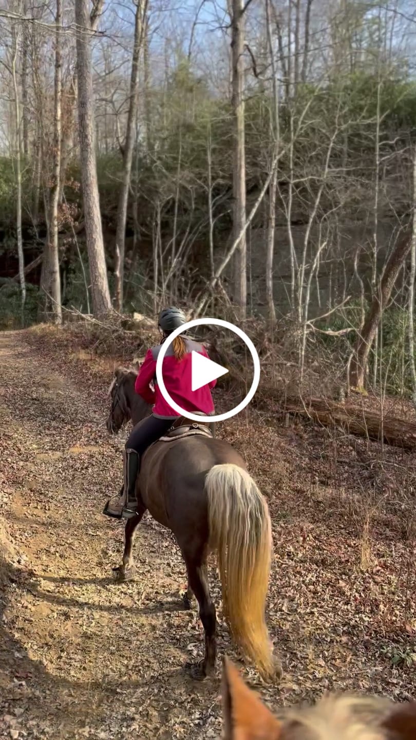 Customer video review of Renegade® Classic - Black Knight