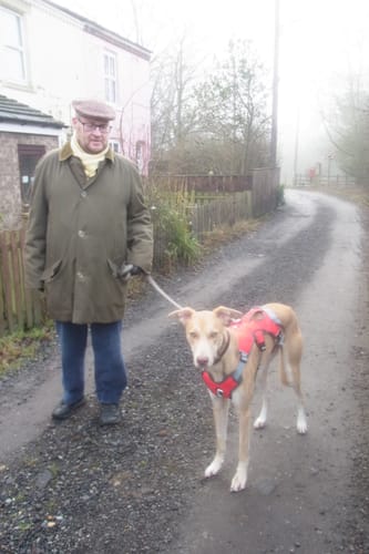 Customer photo review of Sighthound Escape Proof Harness