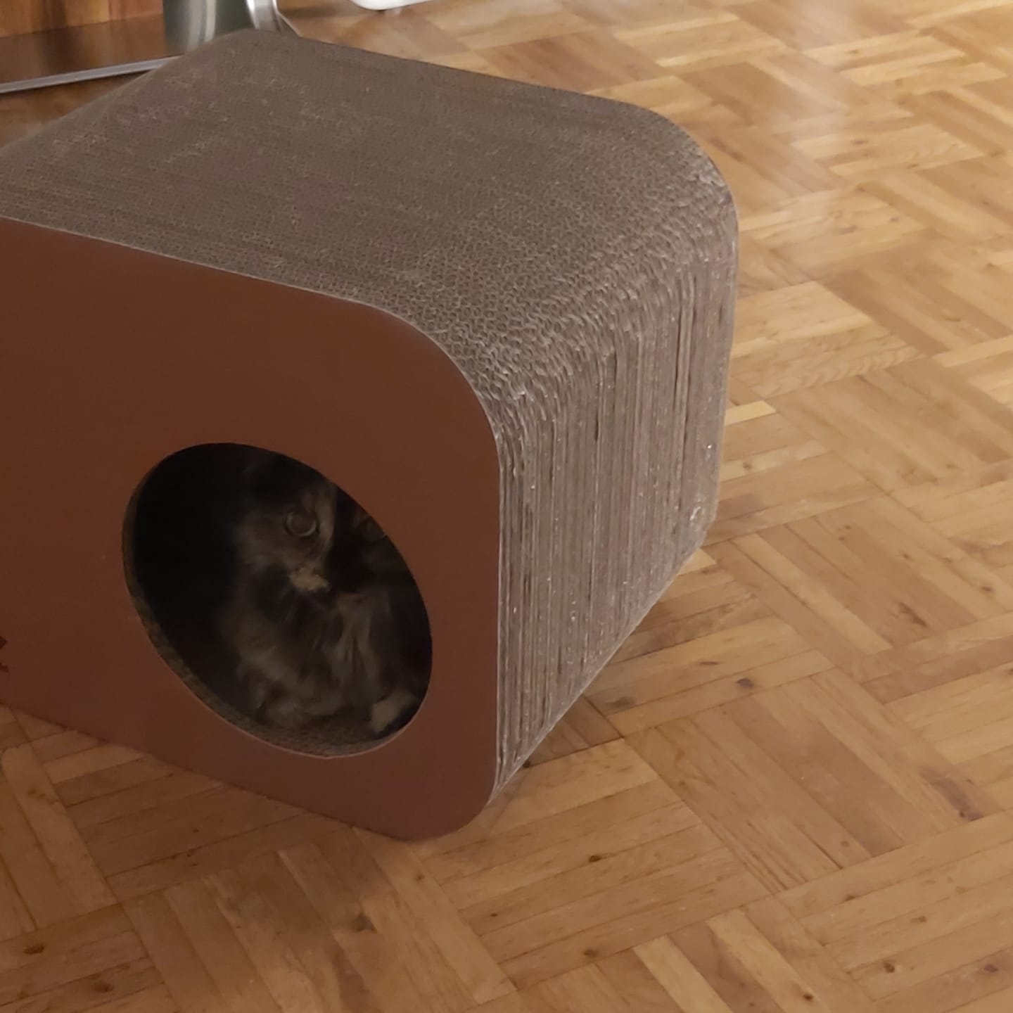 Customer photo review of Kratzmöbel Scratching Cube
