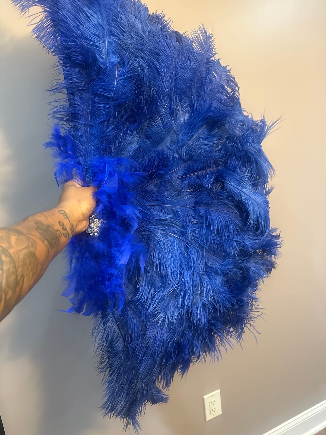 Customer photo review of Ostrich Feather Tail Plumes 11-14" (Black)