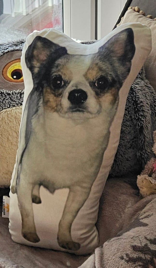 Customer photo review of Personalisiertes Hundekissen