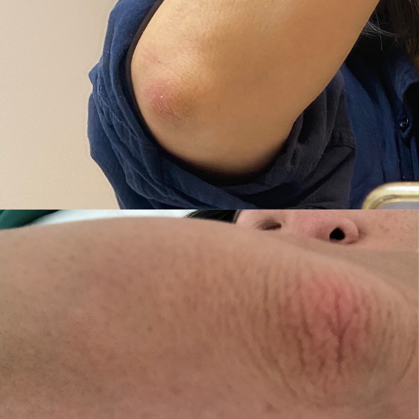 Customer photo review of Whipped Tallow Balm For Face & Body - Lemongrass