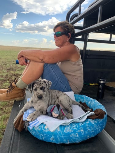 Customer photo review of Veldskoen Drakensberg (Crepe Sole)