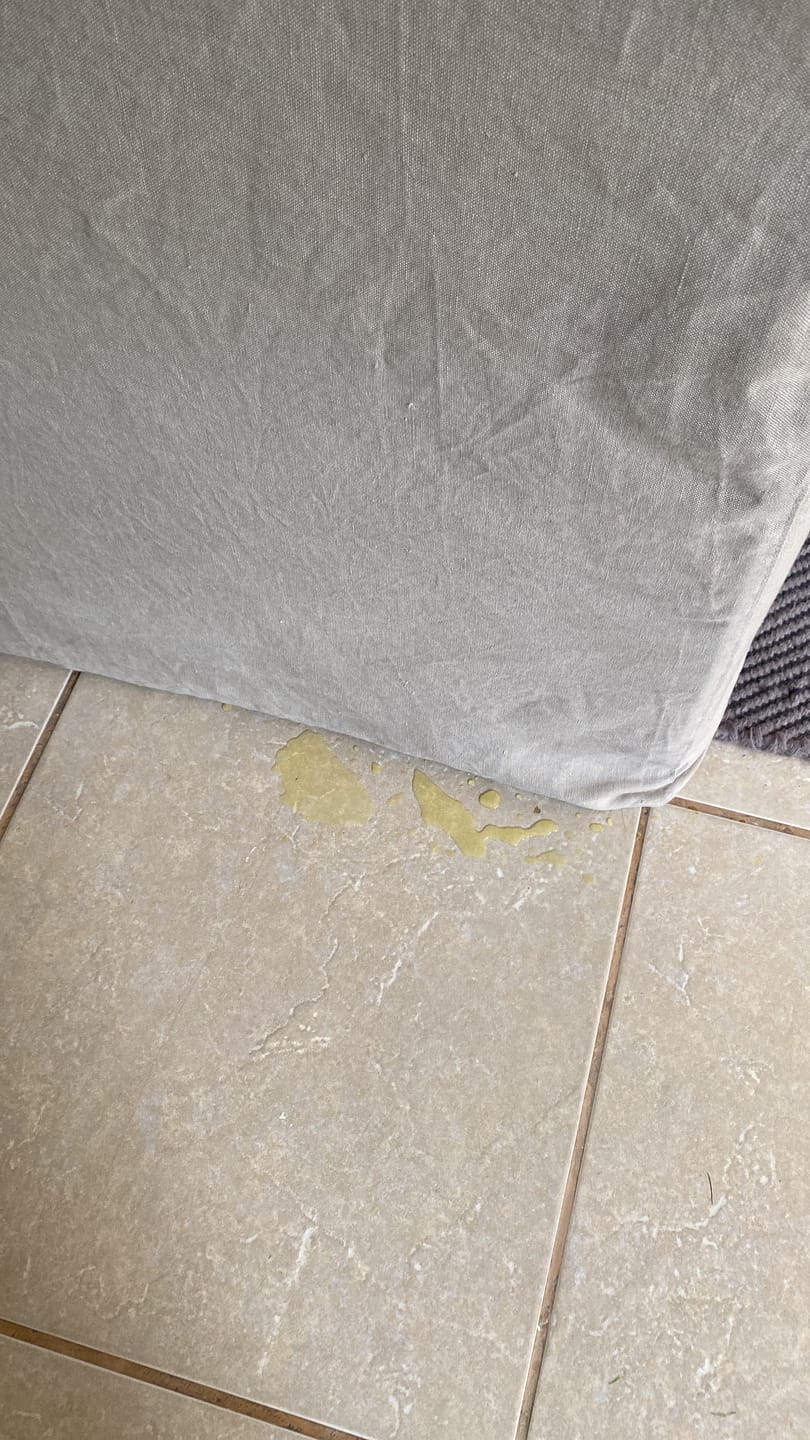Customer photo review of Protector Textil 500 ml