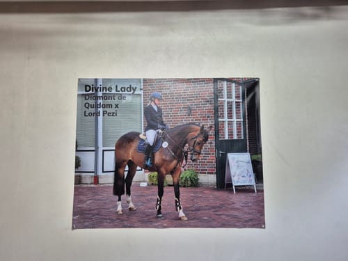 Customer photo review of Banner inkl. Druck