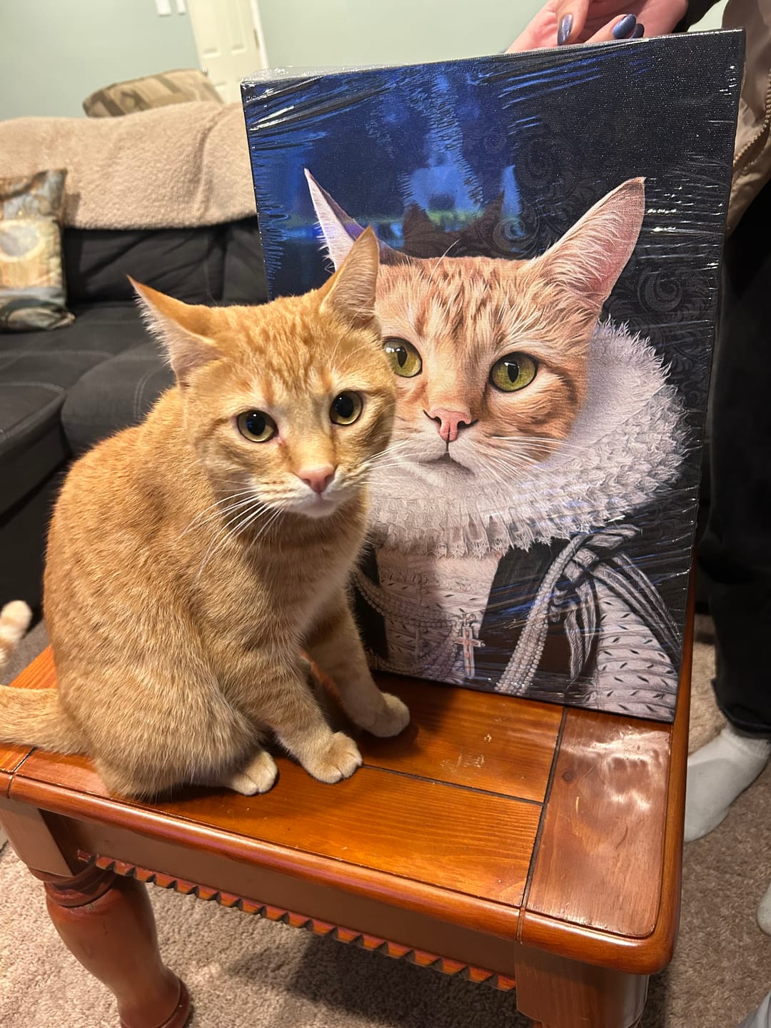 Customer photo review of The Lord Custom Pet Portrait