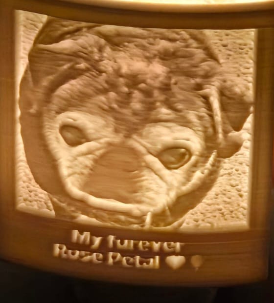 Customer photo review of Memory Frame™ Personalized Night Light